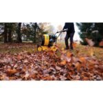 Champion Power Equipment 160 mph 224cc 1300 CFM Walk-Behind Gas Leaf Blower 201529 - Image 8