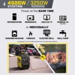 Champion Power Equipment 4500/3250-Watt Recoil Start Gasoline/Propane Powered Dual Fuel Inverter Generator with Quiet Technology and CO Shield 201531 - Image 7