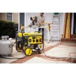 Champion Power Equipment 5300/4250-Watt Recoil Start Dual Fuel Portable Generator w/ Free 3-Year Warranty for RV and Home 201279 - Image 11